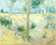 Vincent Van Gogh Trees on a slope painting